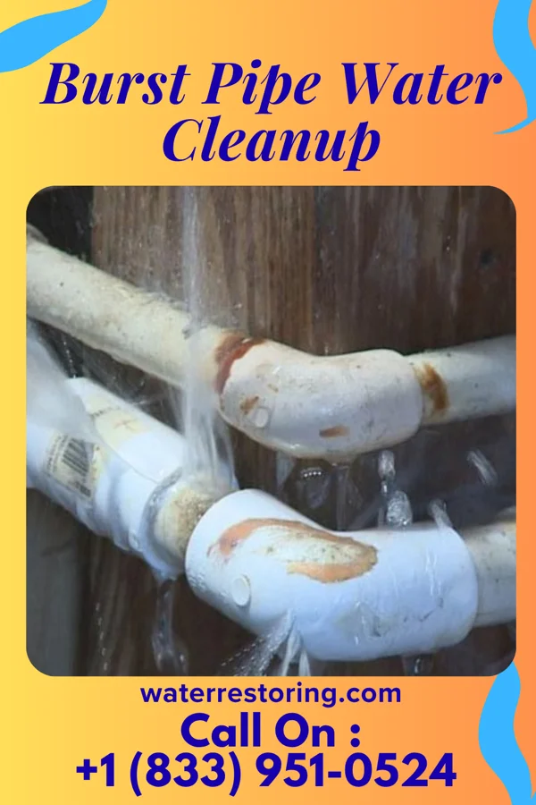 Burst Pipe Water Cleanup in Albin, WY