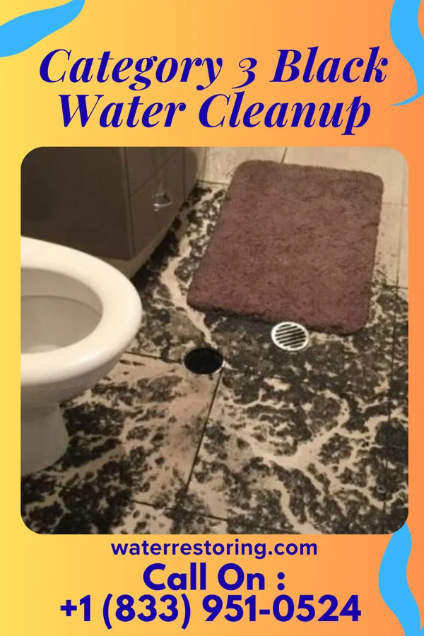 Category 3 Black Water Cleanup in Albin, WY