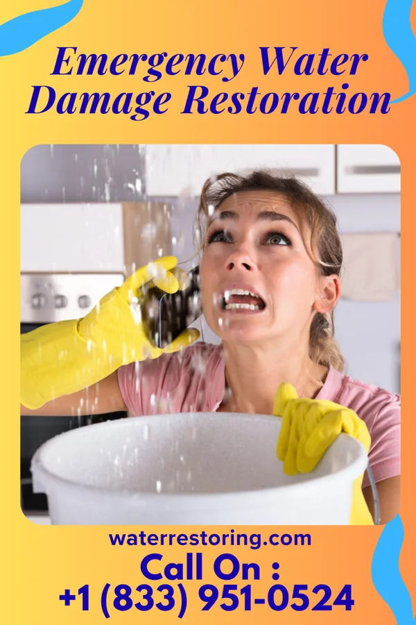 Emergency Water Damage Restoration in Albin, WY
