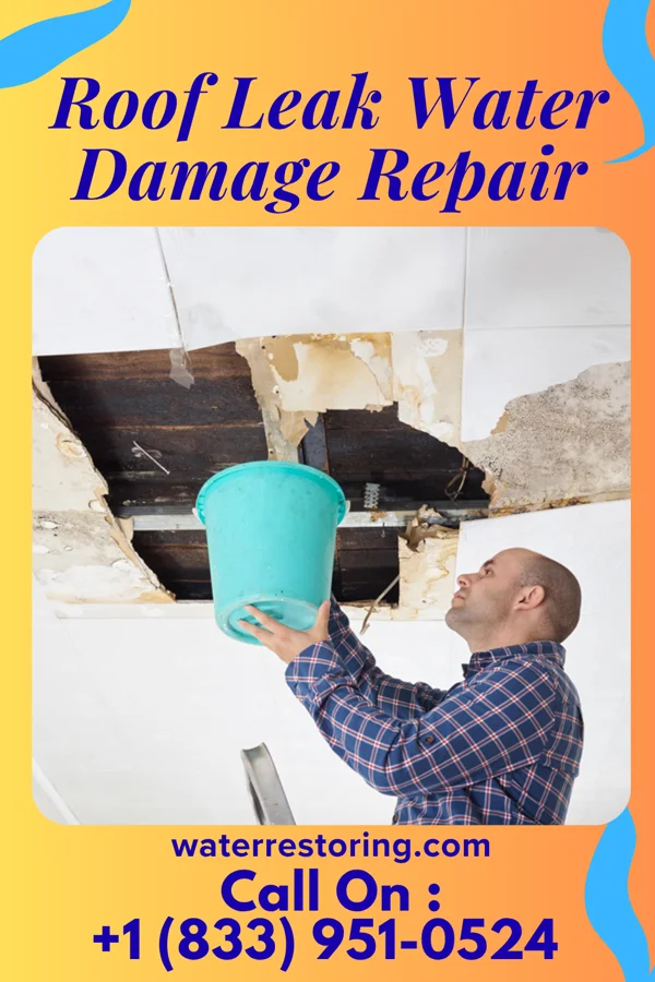 Roof Leak Water Damage Repair in Albin, WY