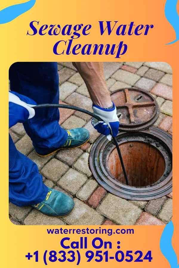 Sewage Water Cleanup in Albin, WY